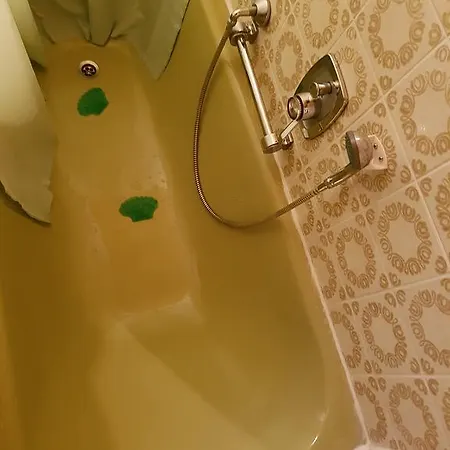 Am Schwammerl