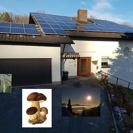 Am Schwammerl Schönberg